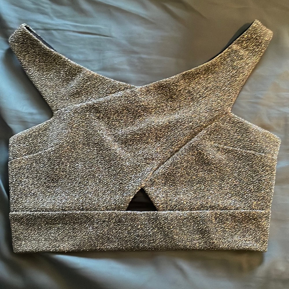 Express Silver Crop Top